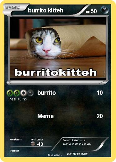 Pokemon burrito kitteh