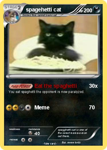 Pokemon spagehetti cat