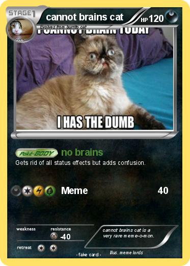 Pokemon cannot brains cat