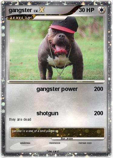 Pokemon gangster