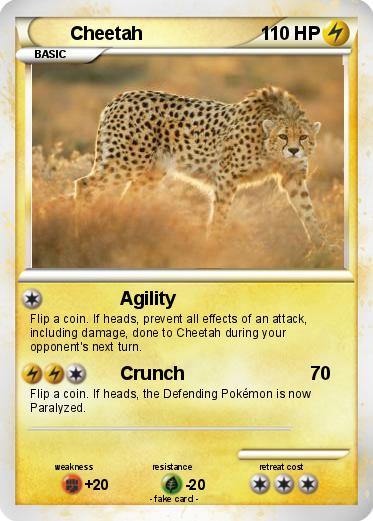 Pokemon Cheetah