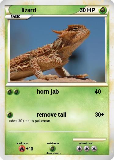Pokemon lizard