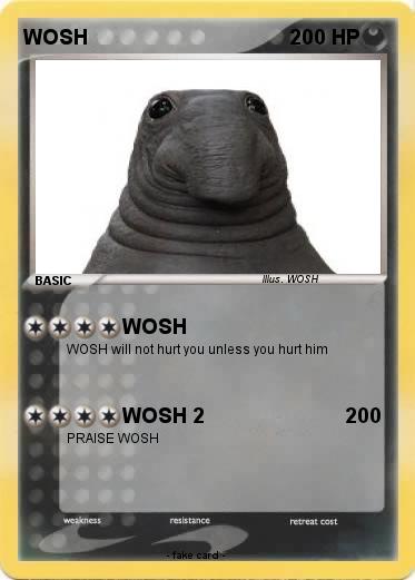 Pokemon WOSH