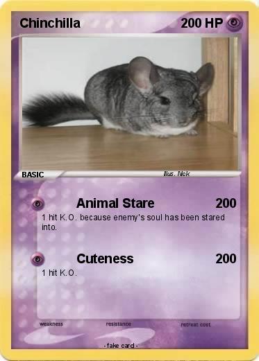 Pokemon Chinchilla