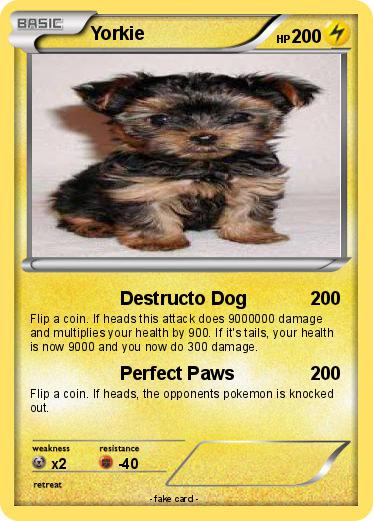 Pokemon Yorkie