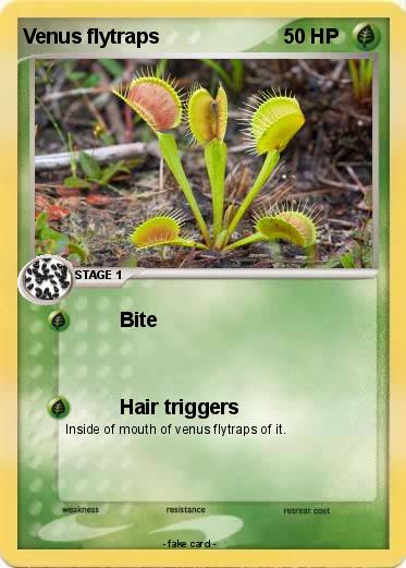 Pokemon Venus flytraps