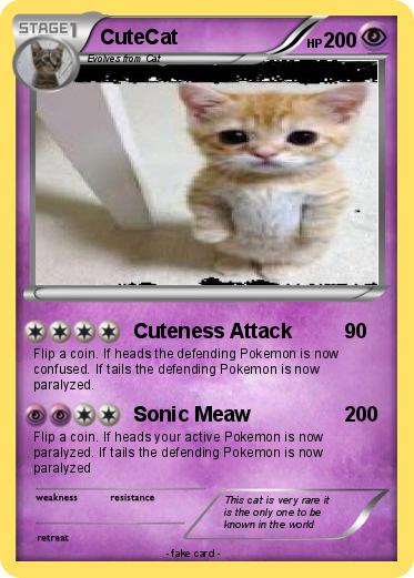 Pokemon CuteCat