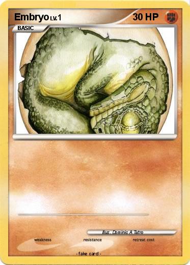 Pokemon Embryo