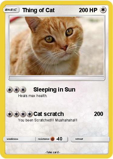 Pokemon Thing of Cat