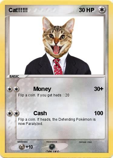 Pokemon Cat!!!!!!