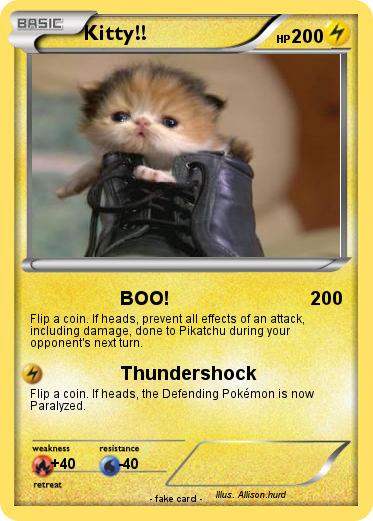Pokemon Kitty!!