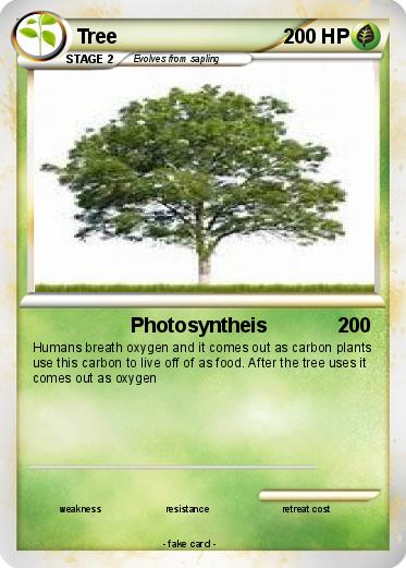 Pokemon Tree