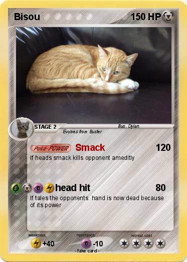 Pokemon Bisou