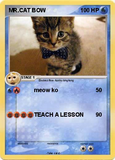 Pokemon MR.CAT BOW