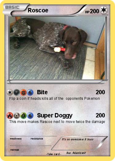 Pokemon Roscoe