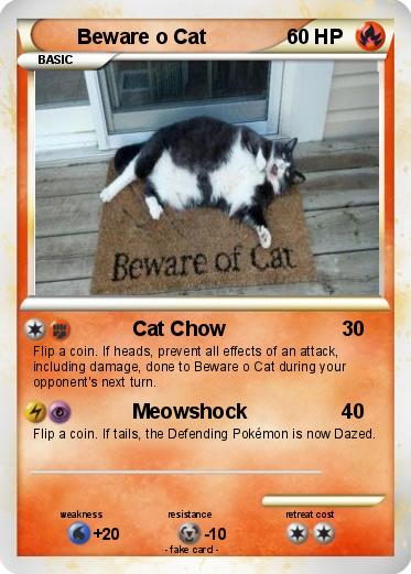 Pokemon Beware o Cat