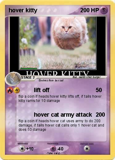 Pokemon hover kitty
