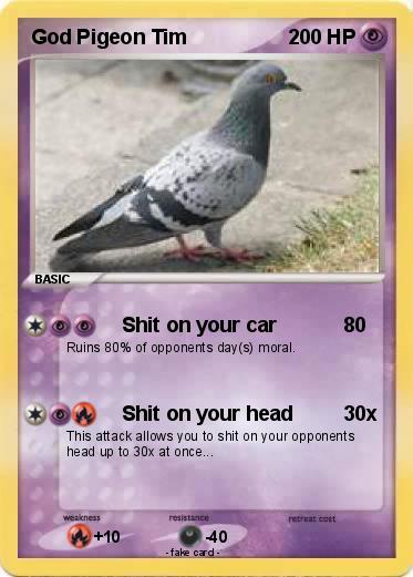 Pokemon God Pigeon Tim