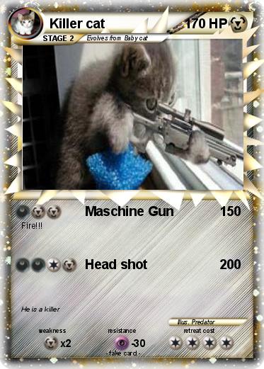 Pokemon Killer cat