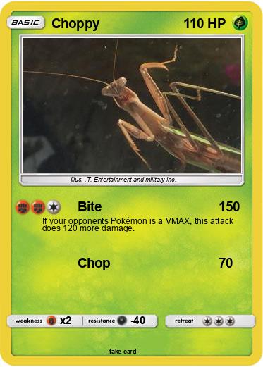Pokemon Choppy