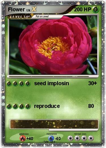 Pokemon Flower