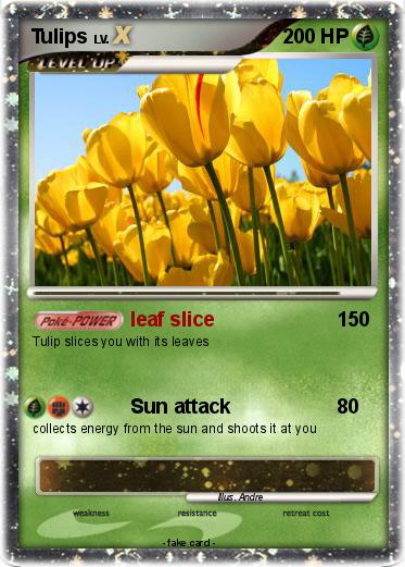 Pokemon Tulips