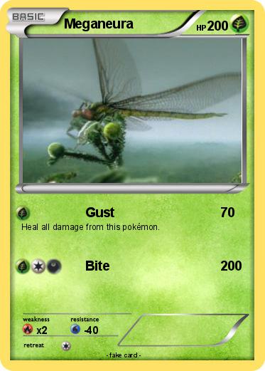 Pokemon Meganeura
