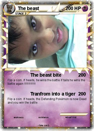 Pokemon The beast