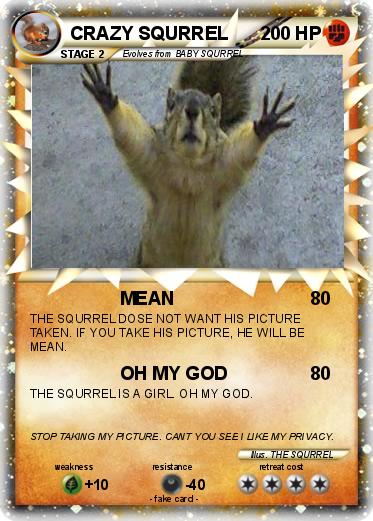 Pokemon CRAZY SQURREL