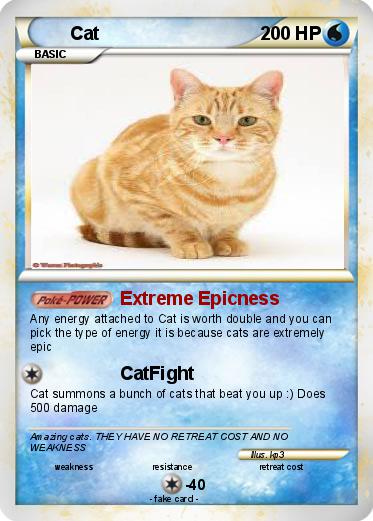 Pokemon Cat
