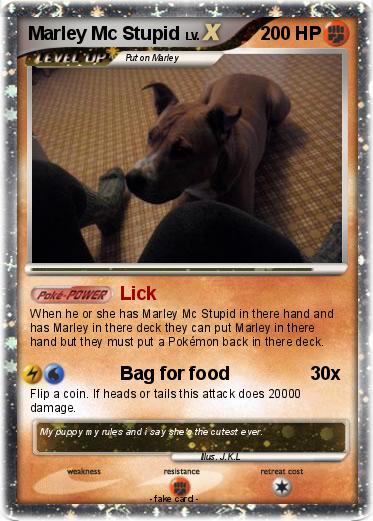 Pokemon Marley Mc Stupid