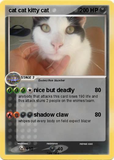 Pokemon cat cat kitty cat
