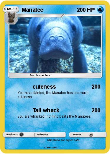 Pokemon Manatee