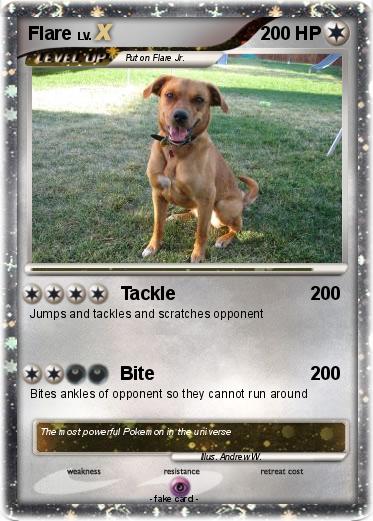 Pokemon Flare