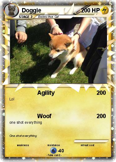 Pokemon Doggie
