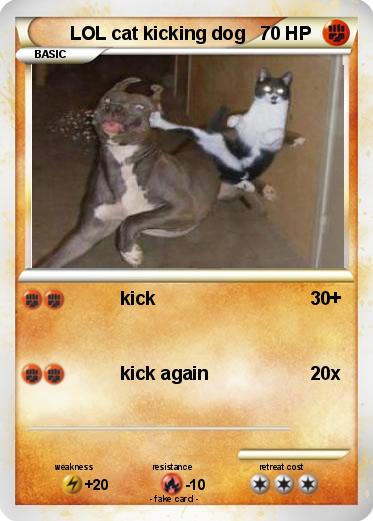 Pokemon LOL cat kicking dog