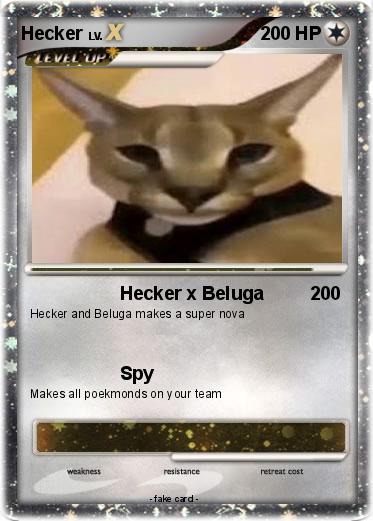 Pokemon Hecker
