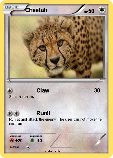 Pokemon Cheetah