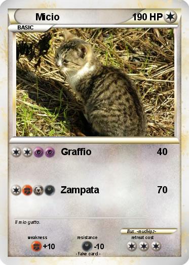 Pokemon Micio