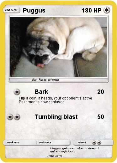 Pokemon Puggus