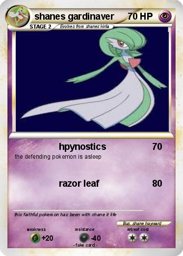 Pokemon shanes gardinaver
