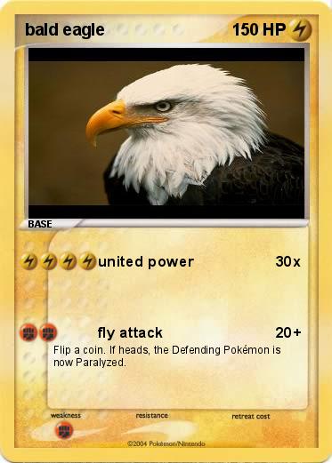 Pokemon bald eagle