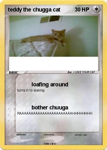 Pokemon teddy the chugga cat