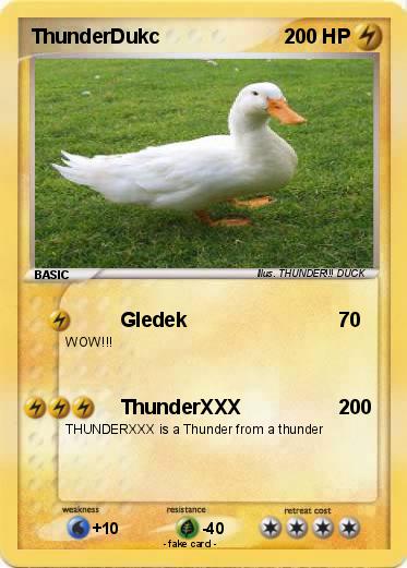 Pokemon ThunderDukc