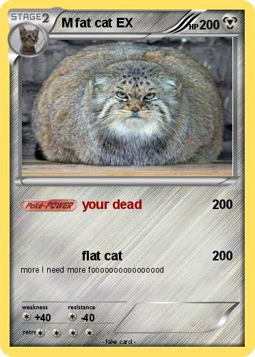 Pokemon M fat cat EX