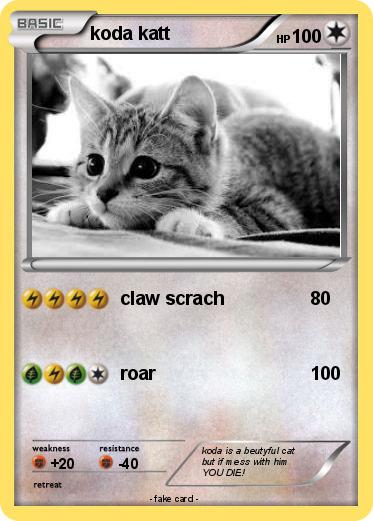Pokemon koda katt