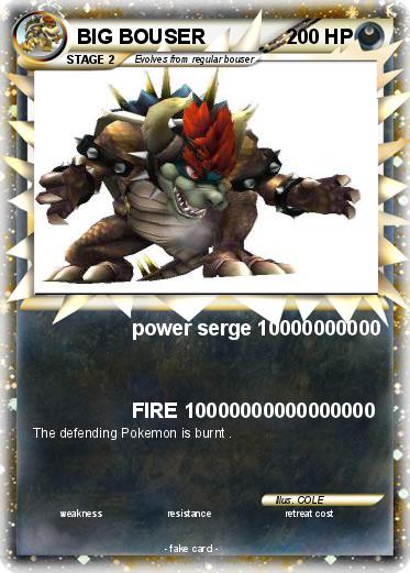 Pokemon BIG BOUSER