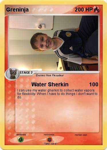 Pokemon Greninja
