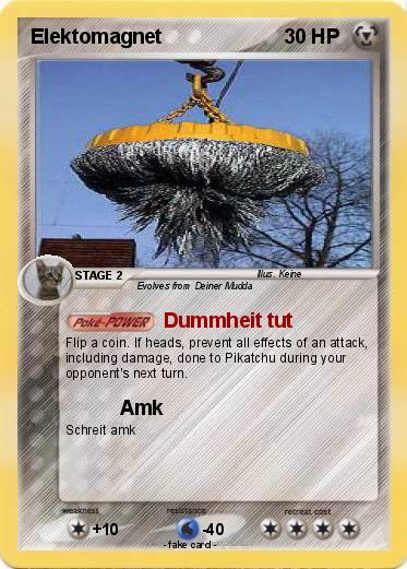 Pokemon Elektomagnet