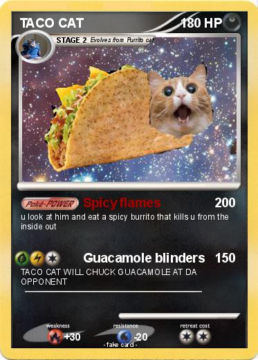 Pokemon TACO CAT